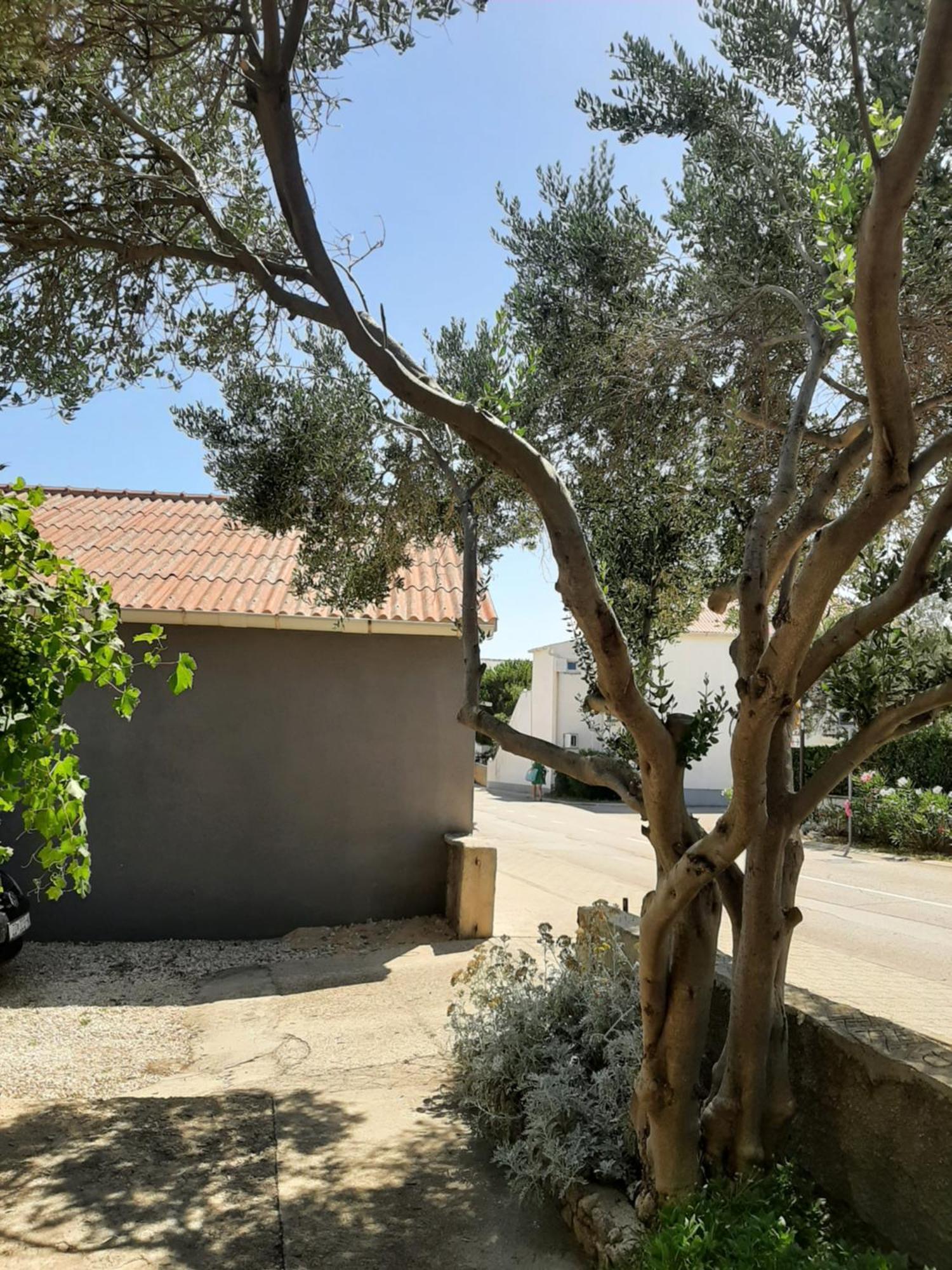 פובליאנה Apartmani Marija חדר תמונה